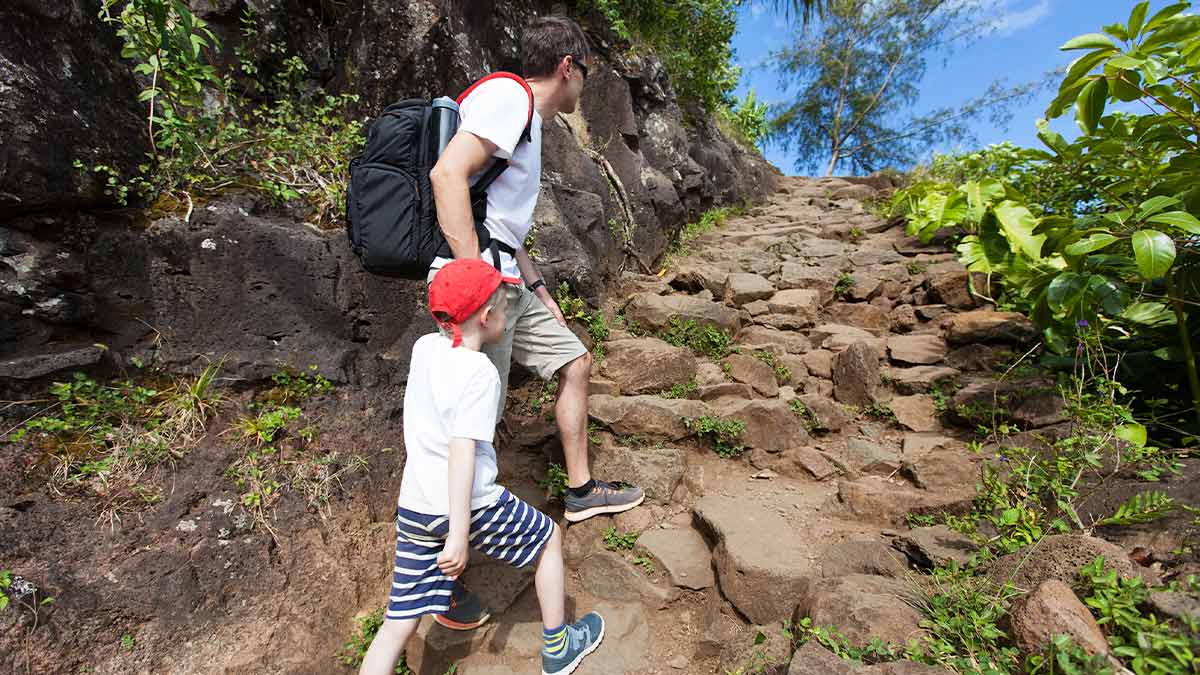 father and son hiking together through palm trees in the Big Island of Hawaii, USA